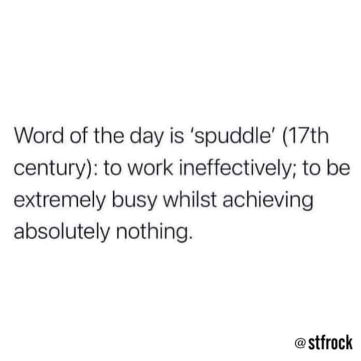 Meme from ‘@stfrock’:

Word of the day is 'spuddle' (17th century): to work ineffectively; to be extremely busy whilst achieving absolutely nothing.