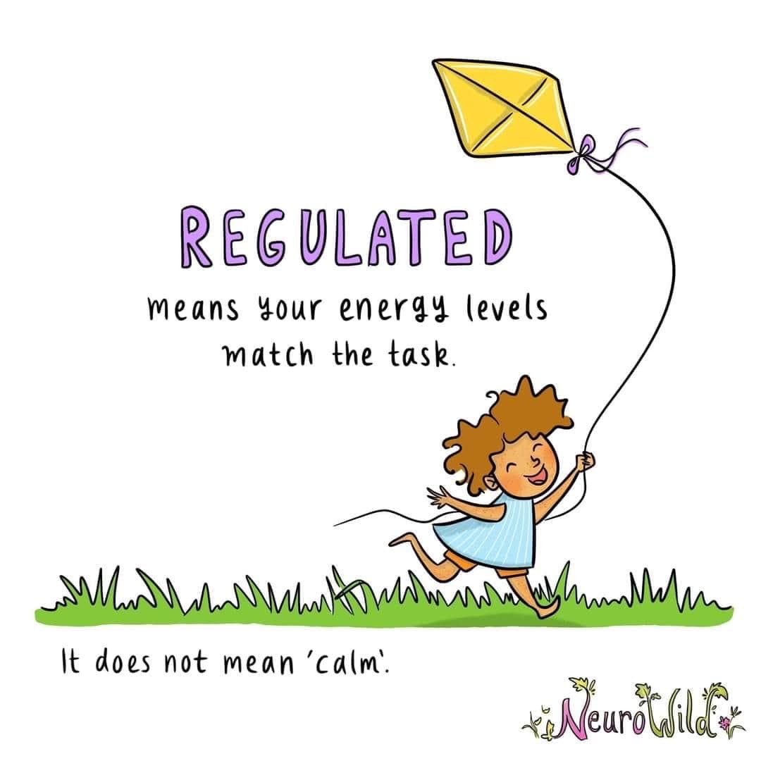 REGULATED means your energy levels match the task. It does not mean 'calm'. By Neurowild