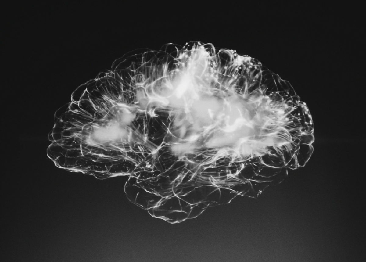 adhd brain not really